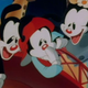 Illustration for article titled iAnimaniacs/i: “De-Zanitized / The Monkey Song / Nighty-Night Toon”